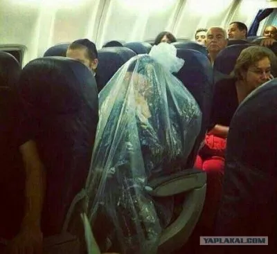 Это ДЕГЕНЕРАЦИЯ?  Или СПЕЦИФИКАЦИЯ? Или...