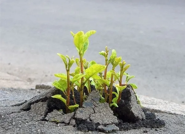 Тезисы о Славянской государственности