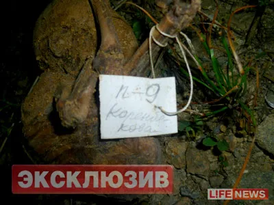 О человечине в торговле