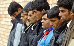 Власть намерена заменить коренное население России тараканами.