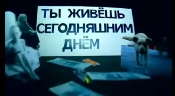 Давай начистоту - Обращение к бесмысленной молодежи