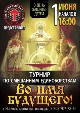 Турнир по смешанным единоборствам (1 июня 2013., Ногинск)