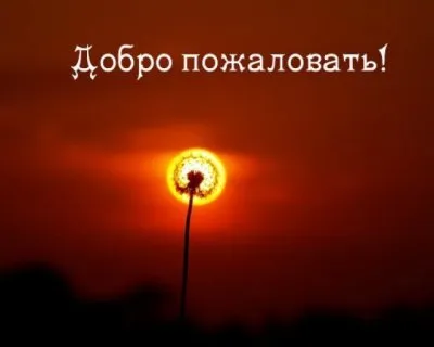 Добро пожаловать в этот мир