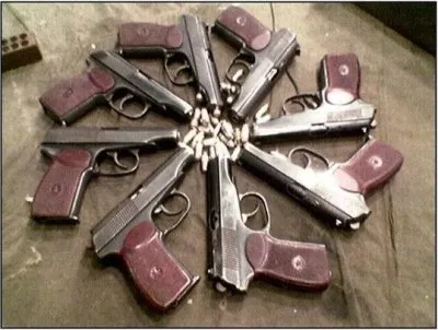 Партизан Предгорий Кавказа. Обращение