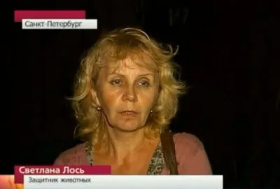 Прохожий убил питбультерьера, которого натравил пьяный хозяин