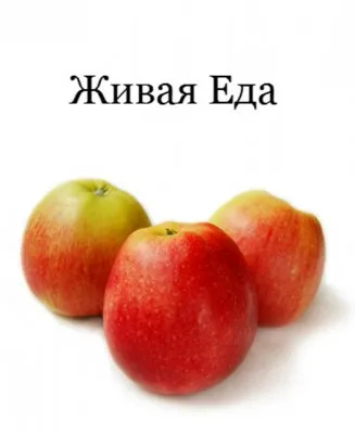 Живая еда (фильм)