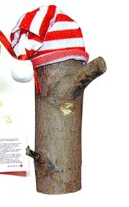 ОБРЕЗАННАЯ  РЕСПУБЛИКА (2 часть)