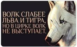 Посильное противодействие оккупантам