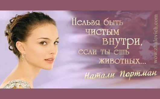 Азы пищеварения и здоровья человека – 2 часть