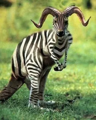 Смешение рас - путь к вырождению и дегенерации