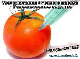 ГМО-лобби и их противники : война проиграна?