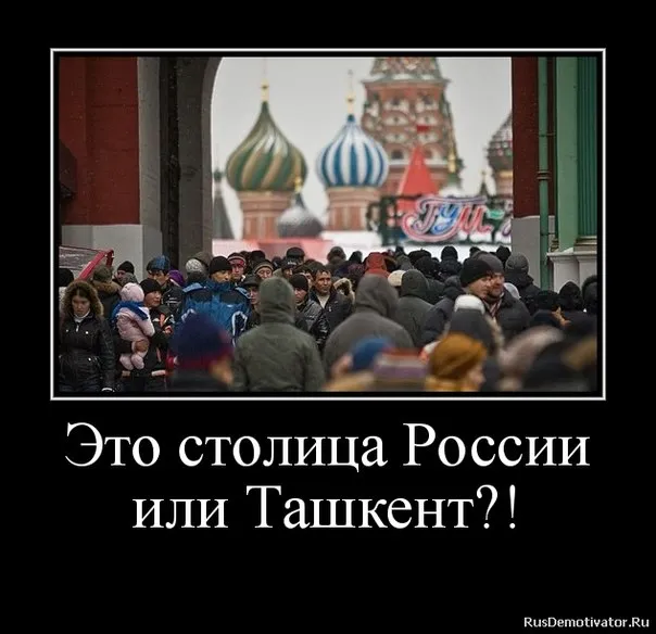 О том, как надо бороться с мигрантами.