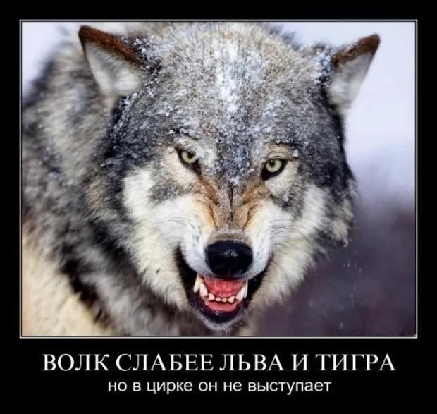 Посильное противодействие оккупантам