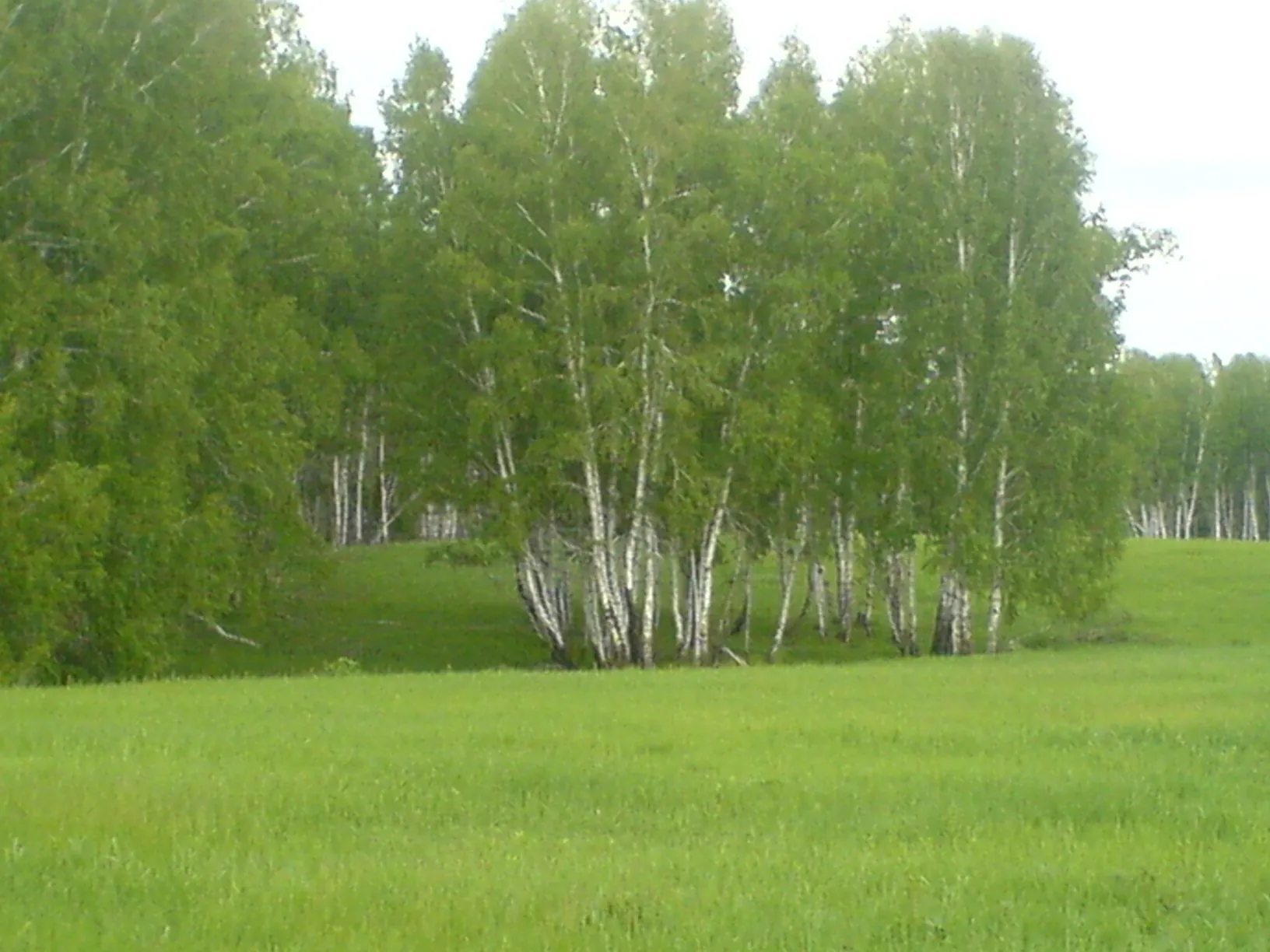 Сибирь. Волшебство. Место Силы. Рудаков Сергей Анатольевич.