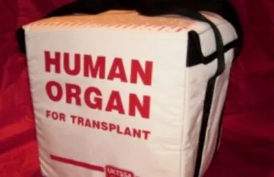 Сгинувшие дети..Трансплантация органов, говорите...