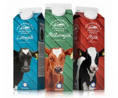 СКОТСКОЕ ПОЙЛО