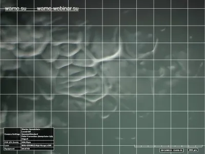 Замороженная структурированная вода под микроскопом, обработанная с помощью торсионных технологий (продолжение)