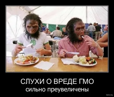 ГМО-лобби и их противники : война проиграна?