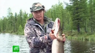 Путин: по щучьему велению…