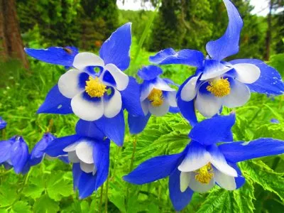 Сибирь. Ключ к просветлению. Правда. Возвращение России. Рудаков Сергей