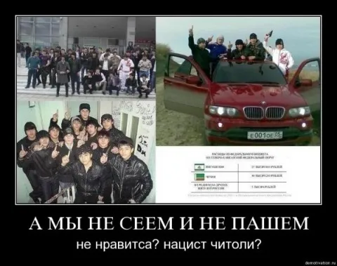 Этничность и национальность. Русские против россиян.