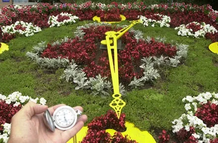 ЦВЕТОЧНЫЕ ЧАСЫ И ДРУГИЕ ПРИМЕТЫ  ДЛЯ ОПРЕДЕЛЕНИЯ ВРЕМЕНИ СУТОК