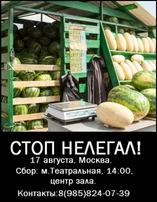 Русский мужик и нелегал. Русская зачистка (7 августа 2013 г., Москва)