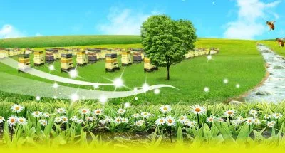 ВНИМАНИЕ, СЛАВЯНЕ! Требуются семьи готовые заниматься пчеловодством и земледелием