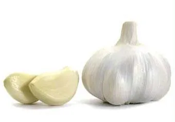 Полезность чеснока