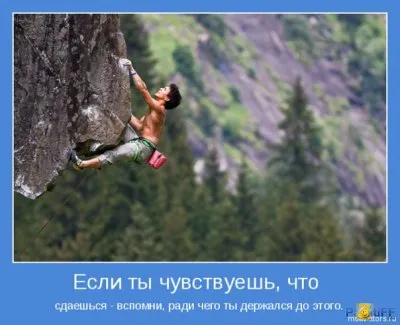 12 причин, почему вы никогда не должны сдаваться