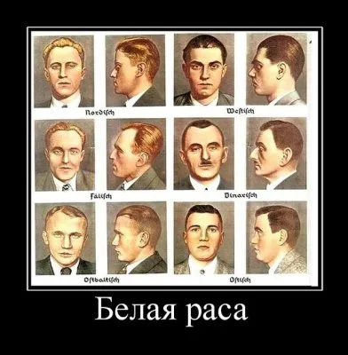 Демотиваторы ФАО