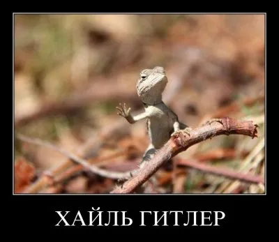 Демотиваторы ФАО