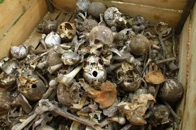 Завещание Доброслава или как оформить Кродирование