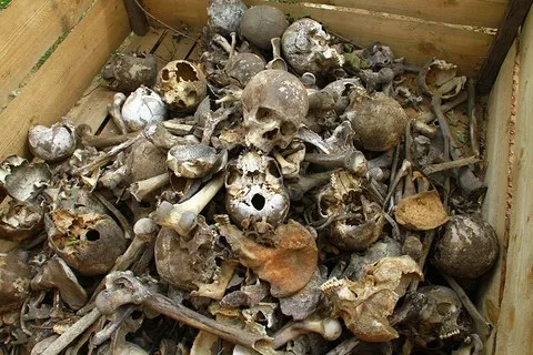 Завещание Доброслава или как оформить Кродирование