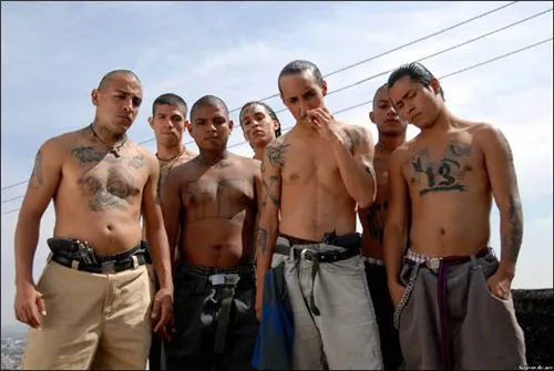 Расовый состав США