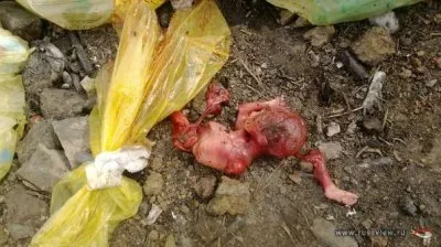 Хватит убивать своих детей!