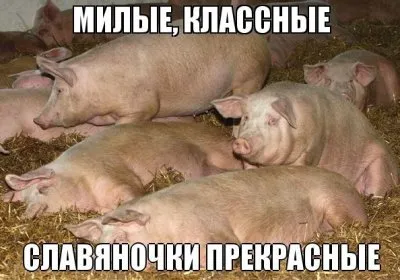 О том как евреи разжигают против русских (18+)