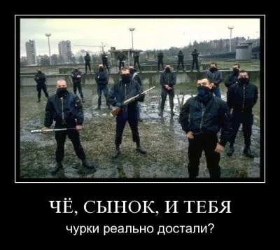 Демотиваторы ФАО. Часть 2