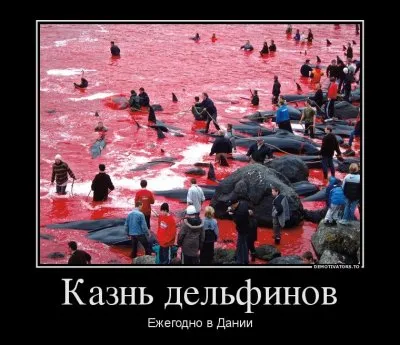 Казнь дельфинов. Леонид Корнилов