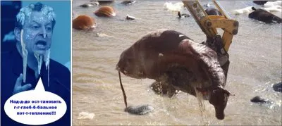 Метастазы Мексиканского залива. Часть 14-9