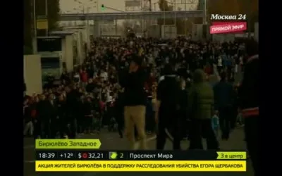 Русское востание в Бирюлёво: Народный сход в Москве перерос в погромы / Обновление 11