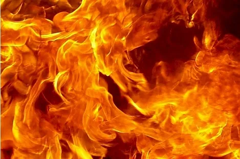 Предсмертное слабоумие