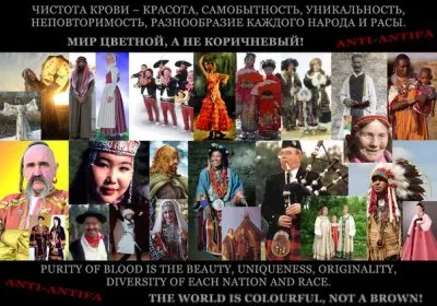 Врождённые расовые отличия