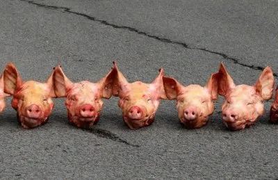 В Севастополе осквернили строящуюся синагогу: здание забросали свиными головами