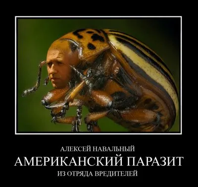 Игры поцреотов (демотиваторы).