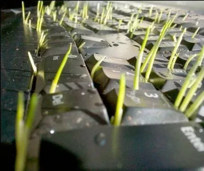 Партизаны интернета. Леонид Корнилов