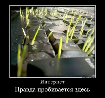 Партизаны интернета. Леонид Корнилов