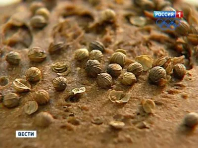 Смертельный хлеб: почему батоны не черствеют, а покрываются плесенью