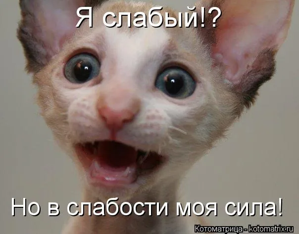 СЛАБЫЙ ДОЛЖЕН УМЕРЕТЬ.