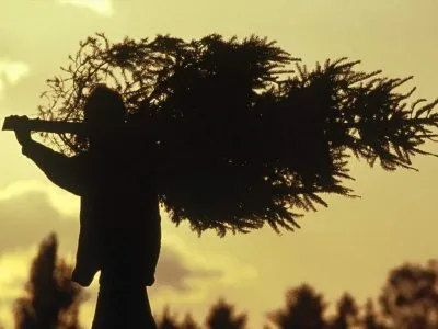 Под самый корешок... Леонид Корнилов